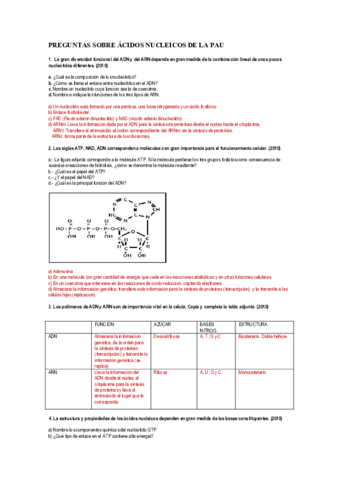 PREGUNTAS-RESUELTAS-PAU-6-ACIDOS-NUCLEICOS.pdf