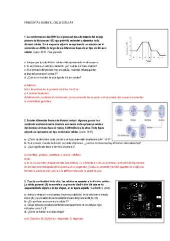 PREGUNTAS-RESUELTAS-PAU-7-CICLO-CELULAR.pdf