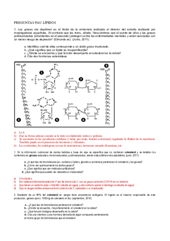 PREGUNTAS-RESUELTAS-PAU-3-LAPIDOS.pdf