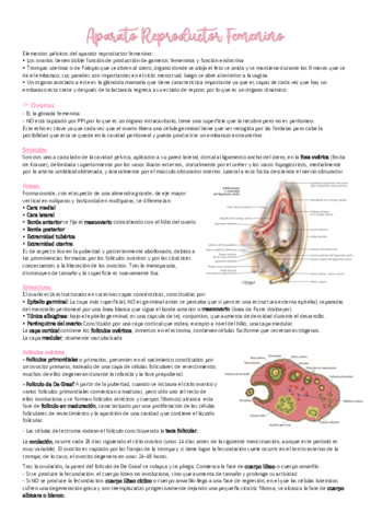 Aparato-Reproductor-Femenino.pdf