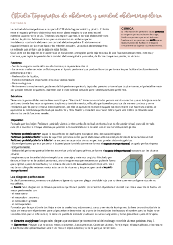 Estudio-topografico-de-abdomen-y-cavidad-abdominopelvica-.pdf