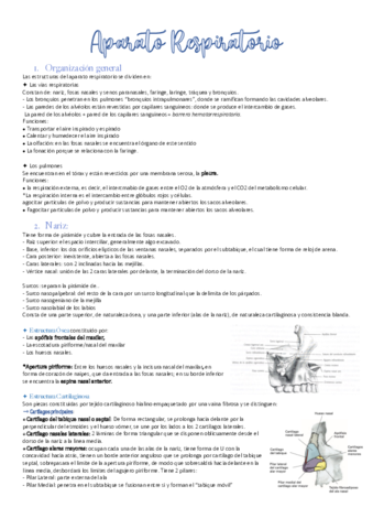 Aparato-Respiratorio.pdf