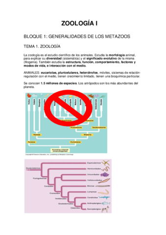 Teoría ZOO 1.pdf