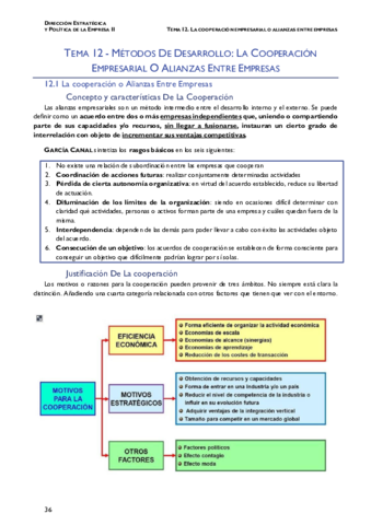 TEMA-12-La-cooperacion-estrategica-DEPE-II.pdf