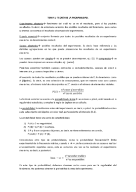 TEMA 1 YO.pdf