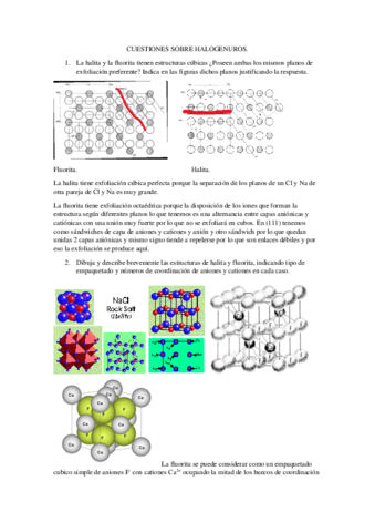 Cuestiones-sobre-Halogenuros.pdf