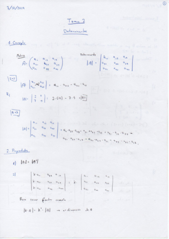 Apuntes-Determinantes-Matematicas-II.pdf