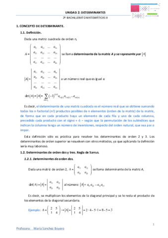 Determinantes.pdf