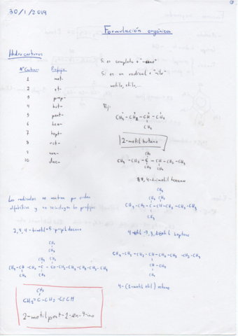 Apuntes-Formulacion-Organica.pdf