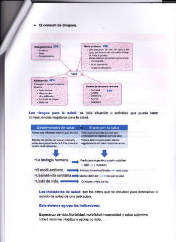 IMG0019.pdf