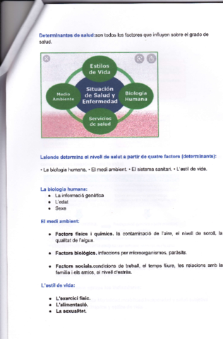 IMG0018.pdf