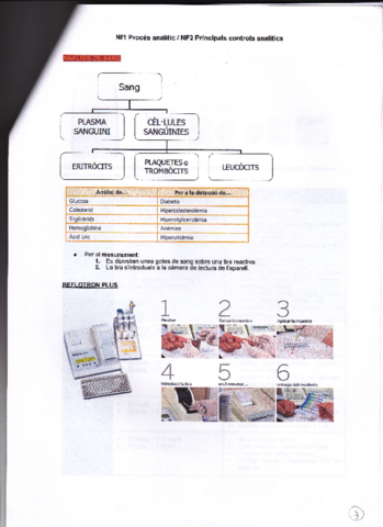 IMG0031.pdf