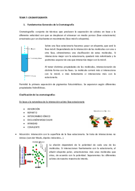 T7 cromatografia.pdf