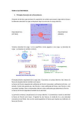 T8 electroforesis.pdf