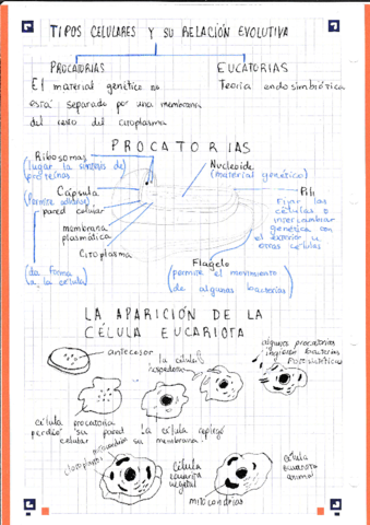 Teoria-celular-1.pdf