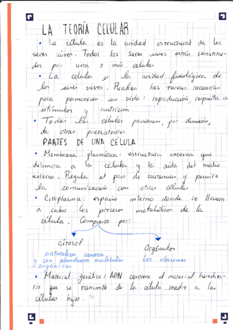 Teoria-celular-1.pdf