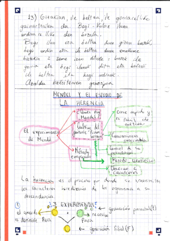Mendel-y-el-estudio-de-la-herencia.pdf