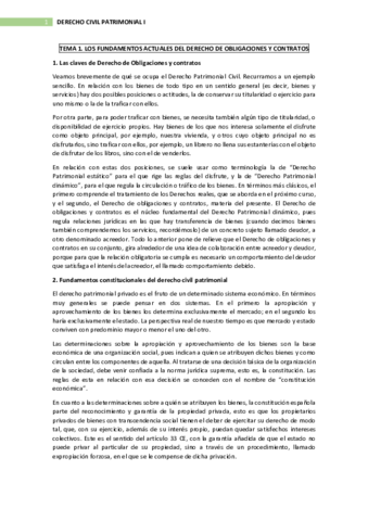 TEMARIO CIVIL PATRIMONIAL 1.pdf