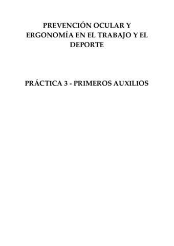 P3.pdf