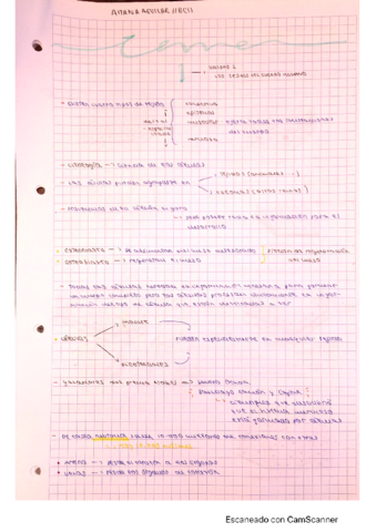 tema-anatomia-1-trimestre-completo-.pdf