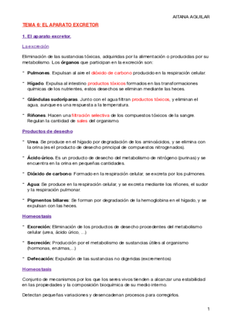 tema-anatomia-3-trimestre-completo-.pdf