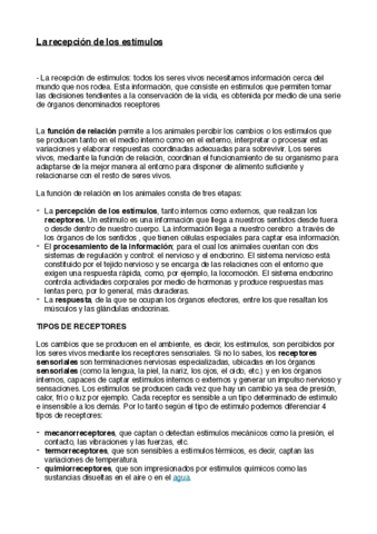 guion-trabajo-de-biologia-.pdf