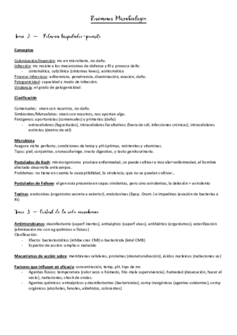 resumen-2-5.pdf