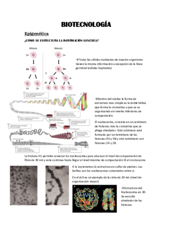 Epigenetica.pdf
