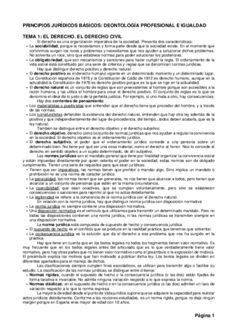 Apuntes-PRINCIPIOS-JURIDICOS-BASICOS.pdf