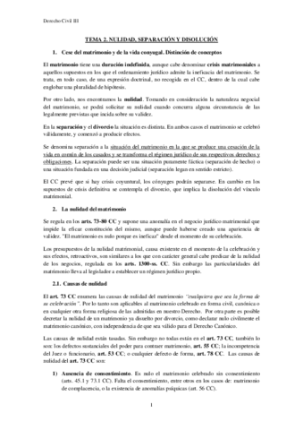 Tema-2-Nulidad-separacion-y-disolucion.pdf