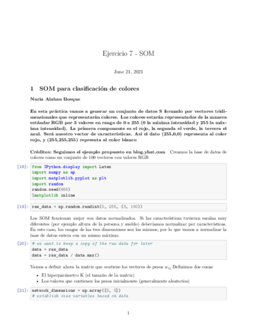 Ejercicio-7-SOM.pdf
