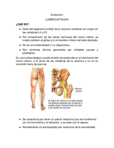 Anatomia-I-lumbalgia-ciatalgia-.pdf