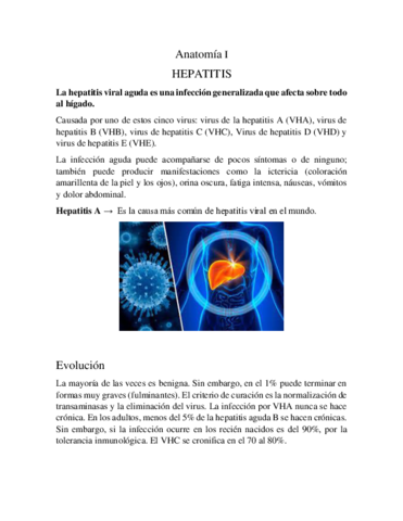 Anatomia-hepatitis-.pdf