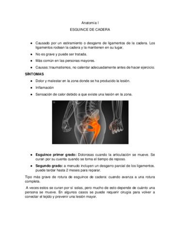 Esguince-de-cadera-anatomia-humana.pdf