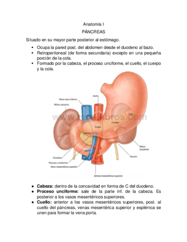 Pancreas.pdf