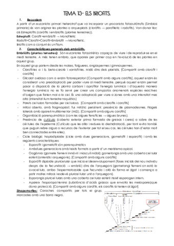 TEMA-13-BRIOFITS.pdf