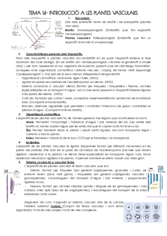 TEMA-14-INTRODUCCIO-A-LES-PLANTES-VASCULARS.pdf