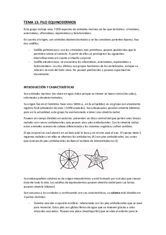 tema-13-equinodermos.pdf