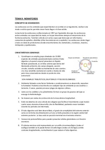 tema-9-nematodos-gusanos-redondos.pdf