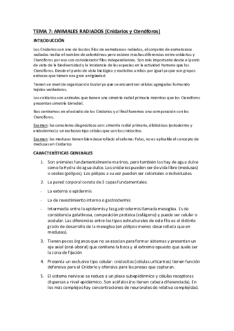 tema-7-cnidarios-y-ctenoforos.pdf