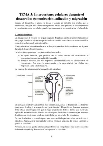 Tema-5-Apuntes-Bases-Desarrollo.pdf