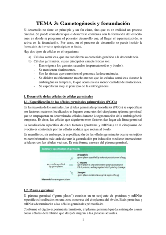 Tema-3-Apuntes-Bases-Desarrollo.pdf