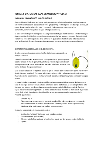 tema-12-diatomeas.pdf