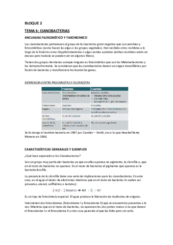 tema-6-cianobacterias.pdf