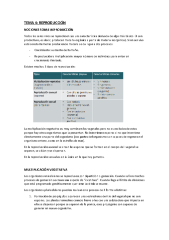 tema-4-la-reproduccion.pdf
