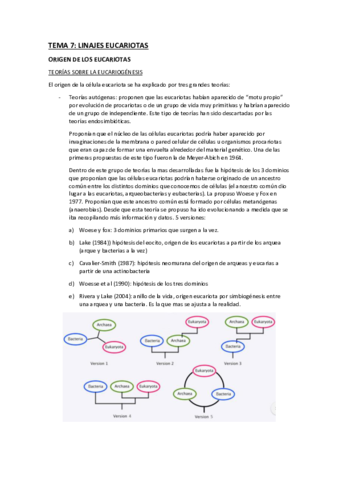 tema-7-linajes-eucariotas-.pdf