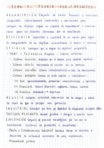 OGE-TEORIA.pdf