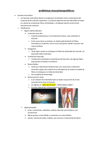 problemas-musculoesqueleticos.pdf