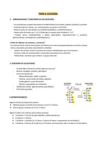 TEMA-6-GLUCIDOS.pdf