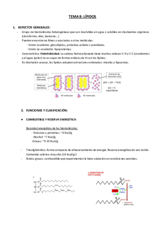 TEMA-10-y-11-LIPIDOS-y-MEMBRANAS.pdf